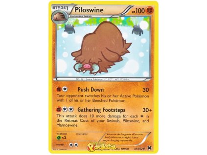 C081Piloswine.BKT.81