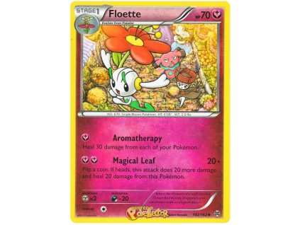 C102Floette.BKT.102