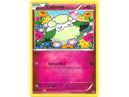 C055Cottonee.AOR.55