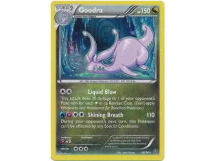R060Goodra.AOR.60