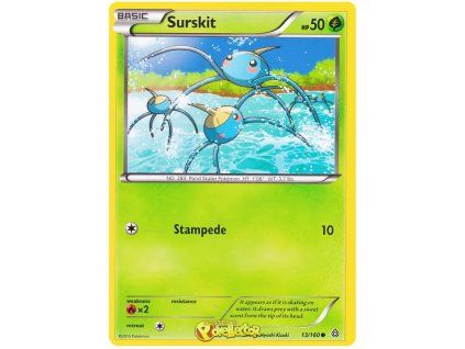 C013Surskit.PCL.13