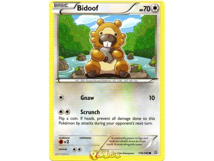 C116Bidoof.PCL.116