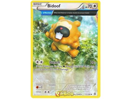 C117Bidoof.PRC.117