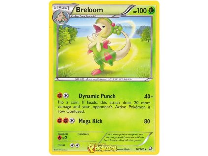 R016Breloom.PCL.16