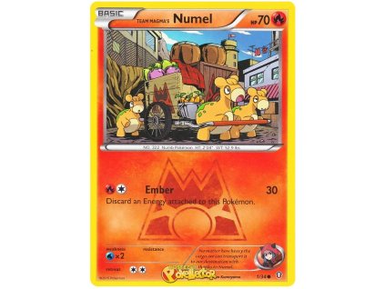 C01Team Magmas Numel.DCR.1