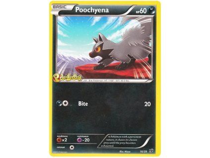 C16Poochyena.KST.16