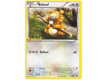C29Bidoof.KST.29