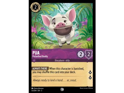 C053pua 53