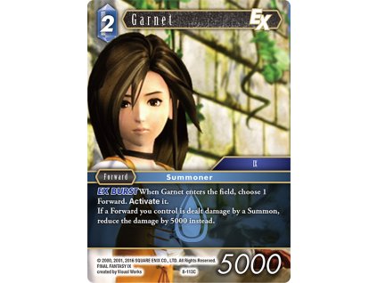 8 113C egGarnet