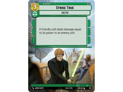 CSWH 01 391 Strike True HYP cd71485522