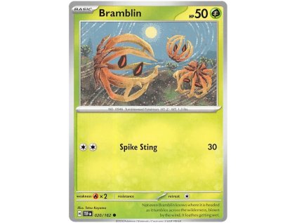 C020Bramblin.TEM.20.52432