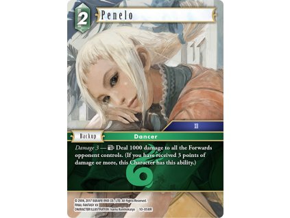 10 058R egPenelo