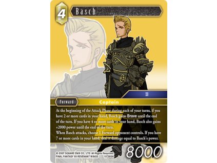 10 080H eg Basch