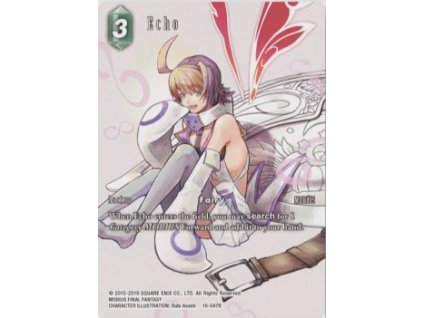 10 047R Echo (v.2)