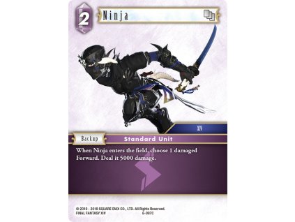 6 097C eg Ninja