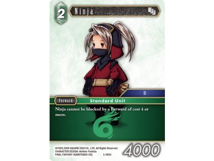 5 065C eg Ninja
