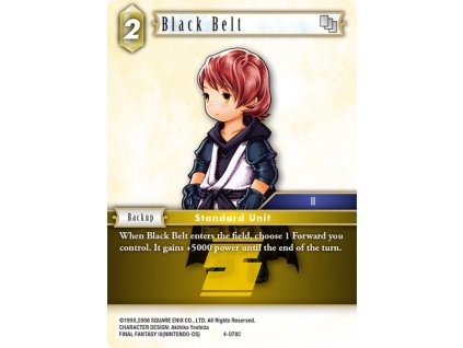 4 078C eg Black Belt