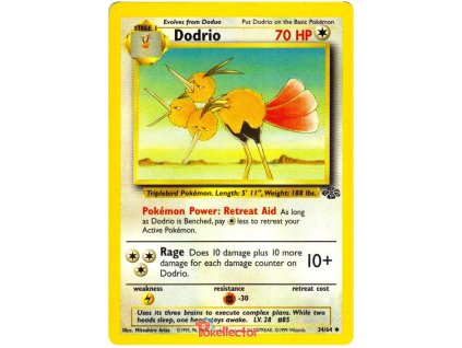 C034Dodrio.JU.34