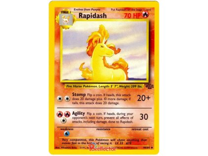 C044Rapidash.JU.44