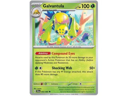 C002Galvantula.SFA.2.53797