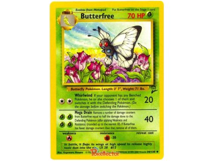 C034Butterfree.B2.34