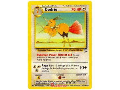 C037Dodrio.B2.37