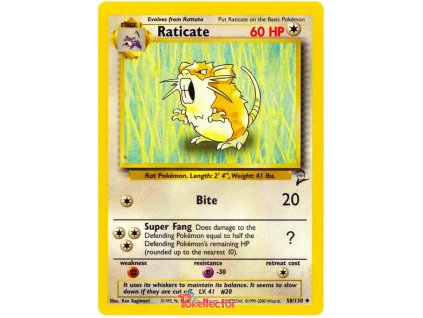 C058Raticate.B2.58