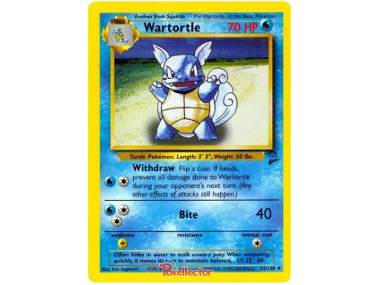 C063Wartortle.B2.63