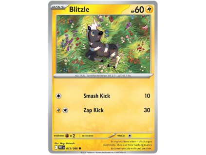 Blitzle.WHT.31.58041