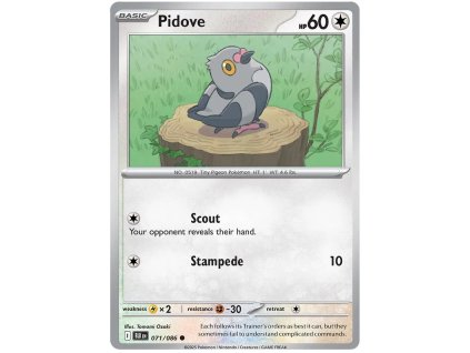 Pidove.BLK.71.58253