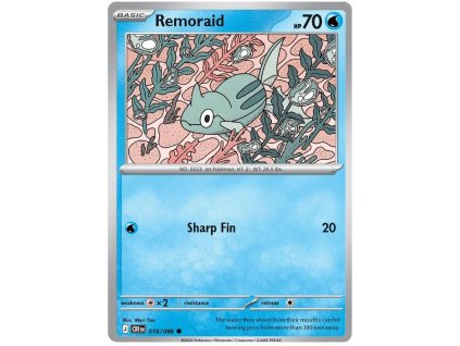 Remoraid.CRI.16.61317