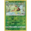 Turtwig - 6/172 - Brilliant Stars