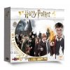 Harry Potter: Rok v Bradavicích