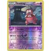 Slowking 049/108 - Dark Explorers