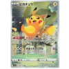 Pikachu.S12A.205.45955