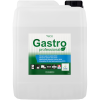 gasstro oplach eco