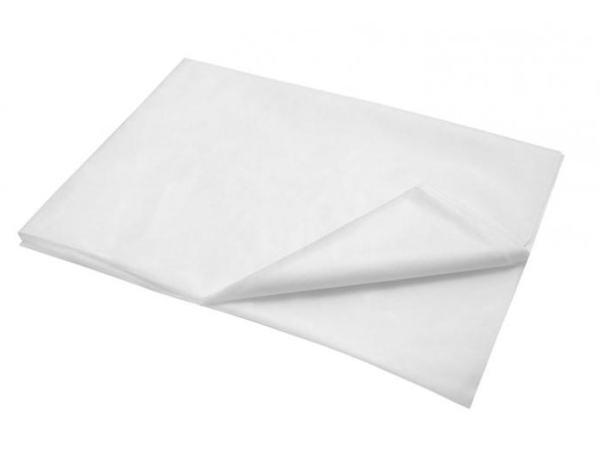 Jednorázové zdravotnické prostěradlo z netkaného textilu 100 x 220 cm