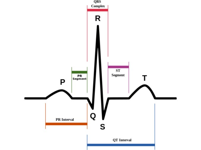 SinusRhythmLabels.svg 570x564