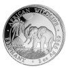 71601012017 20 2 oz elefant 2017 vs kopie 14204 4275 thumb 3
