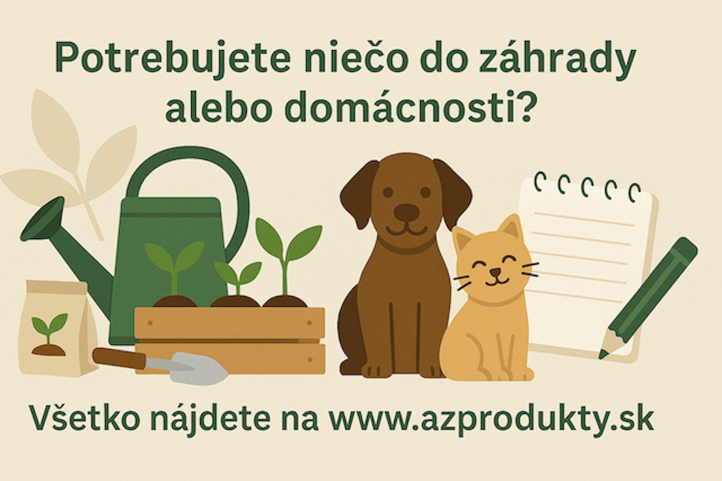 Domácnosť