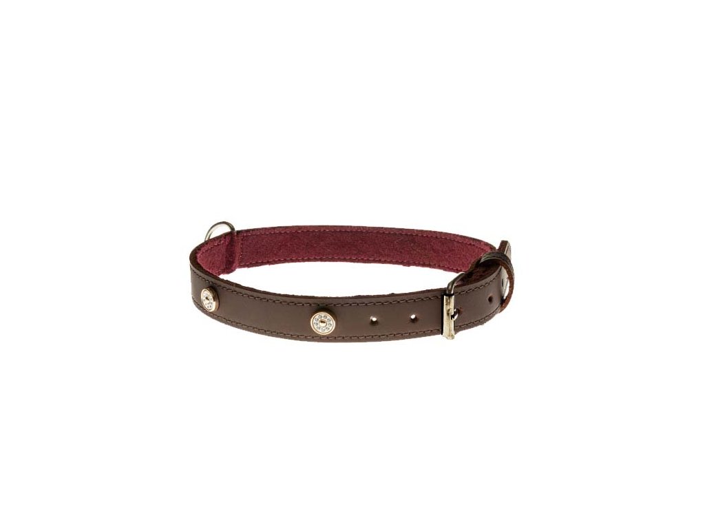 COBBYS PET Obojok z pravej olejovej kože, hnedý, podšitý a zdobený zlatými nitmi s kryštálmi 25mm/45cm