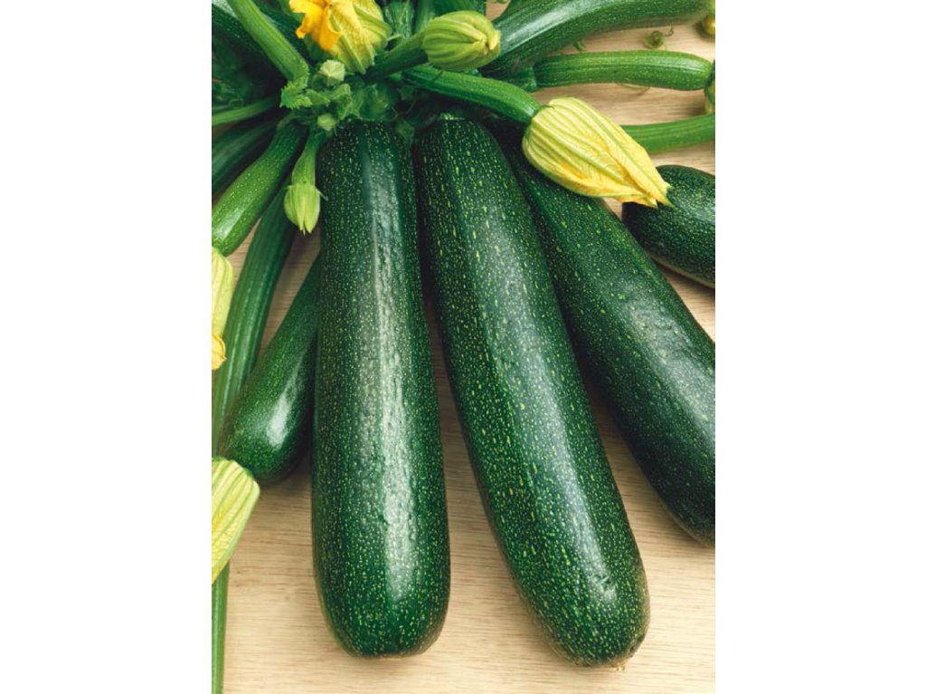 Startgreen F1 BIO Tekvica cuketa