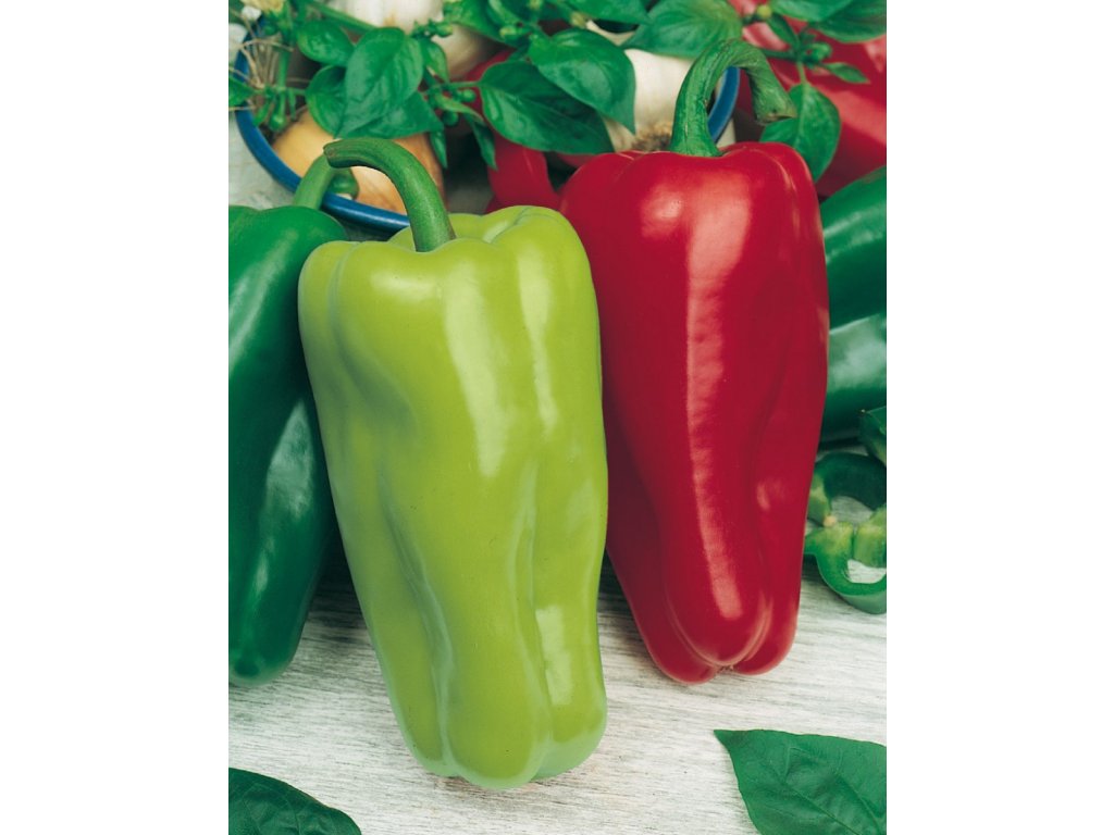 Slovakia paprika na pole, typ kápie