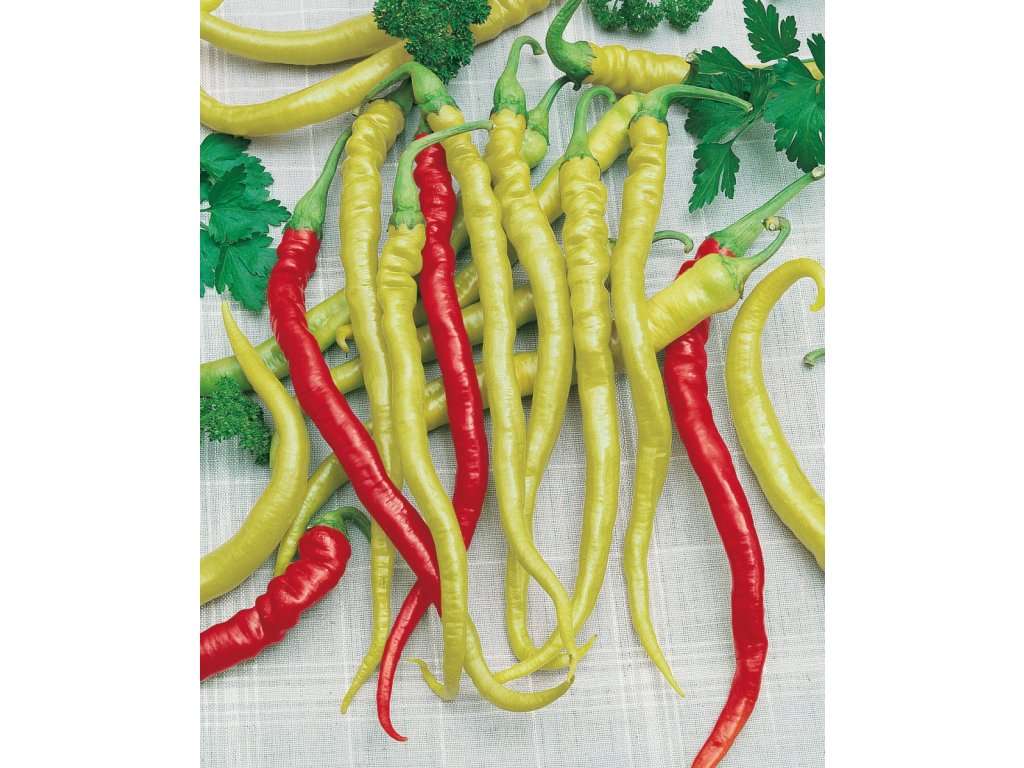 Beros paprika poľná, mierne štipľavá , typ kozí roh
