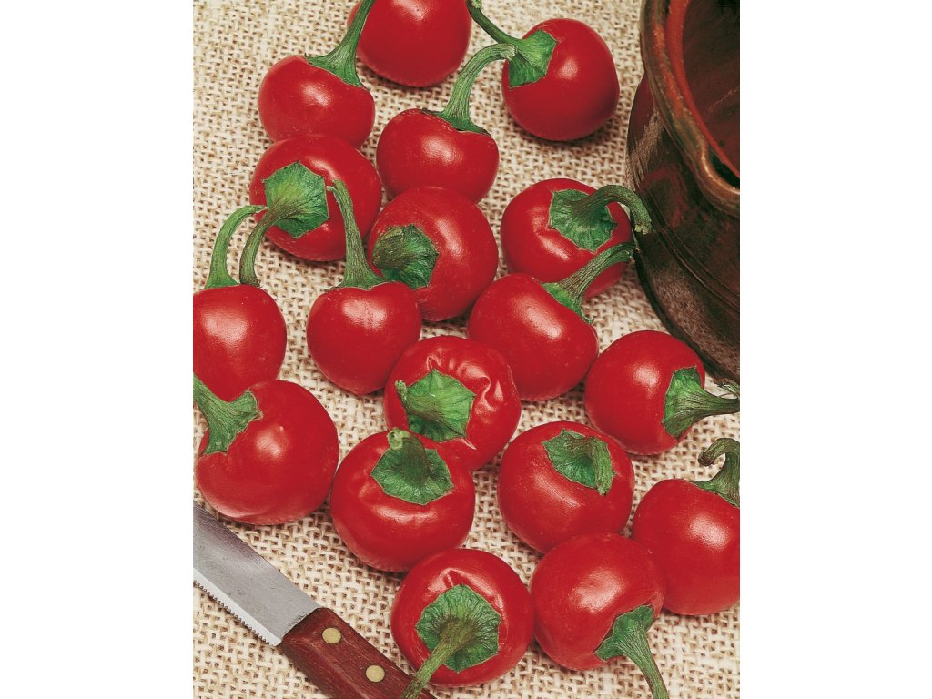 Korál paprika čerešňová ostrá