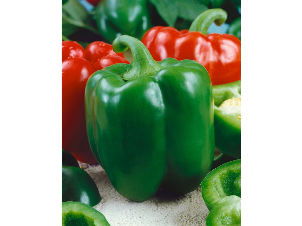 Rubinova paprika poľná, skorá