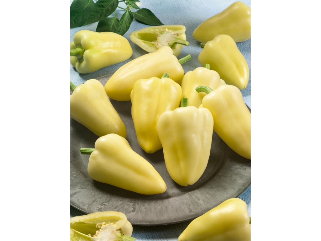 Bella                            paprika poľná, štipľavá
