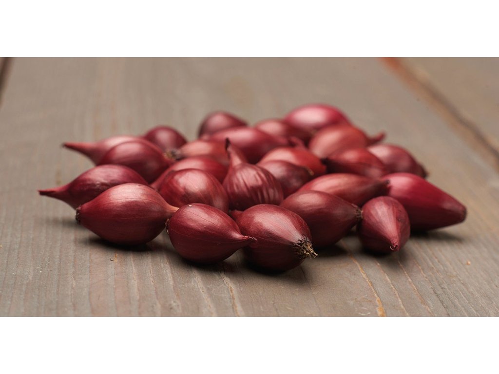 Red Karmen Cibuľa sadzačka jarná červená, 500 g