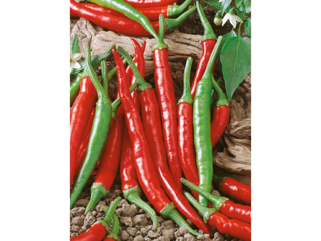 Damián Chilli Paprika