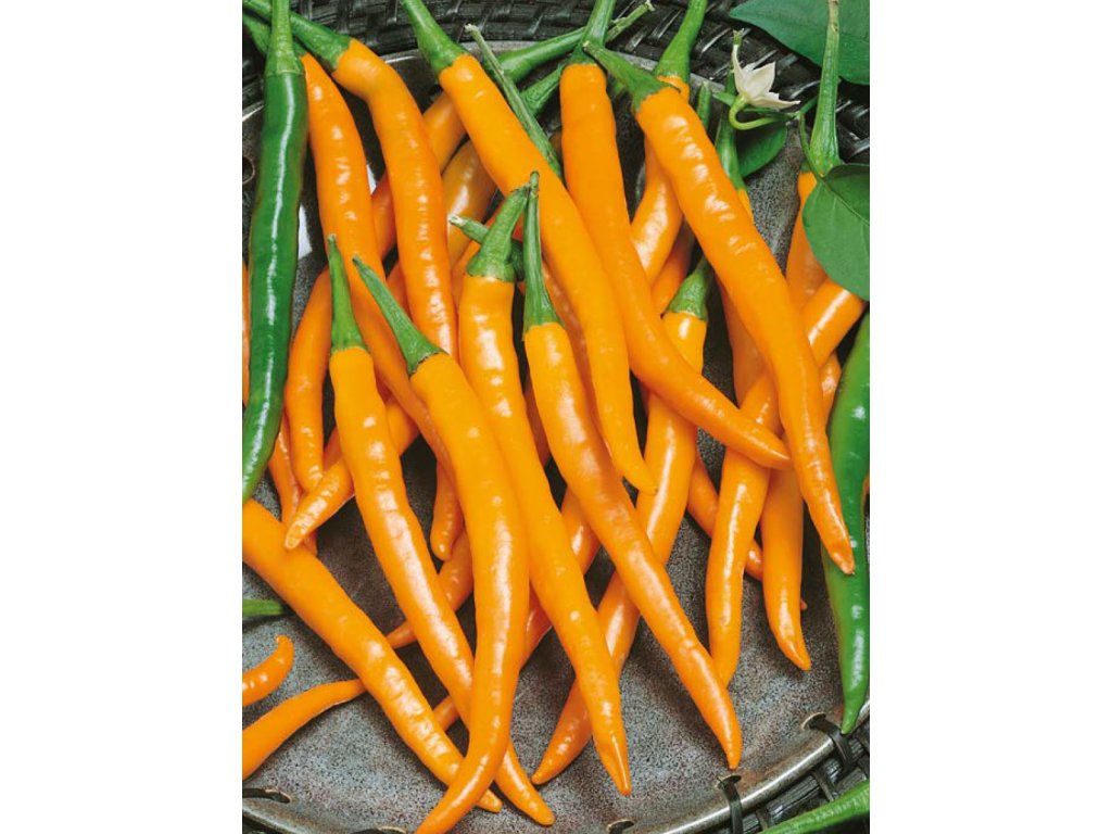 Kilián Chilli Paprika